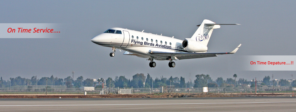 We want do  something of different.